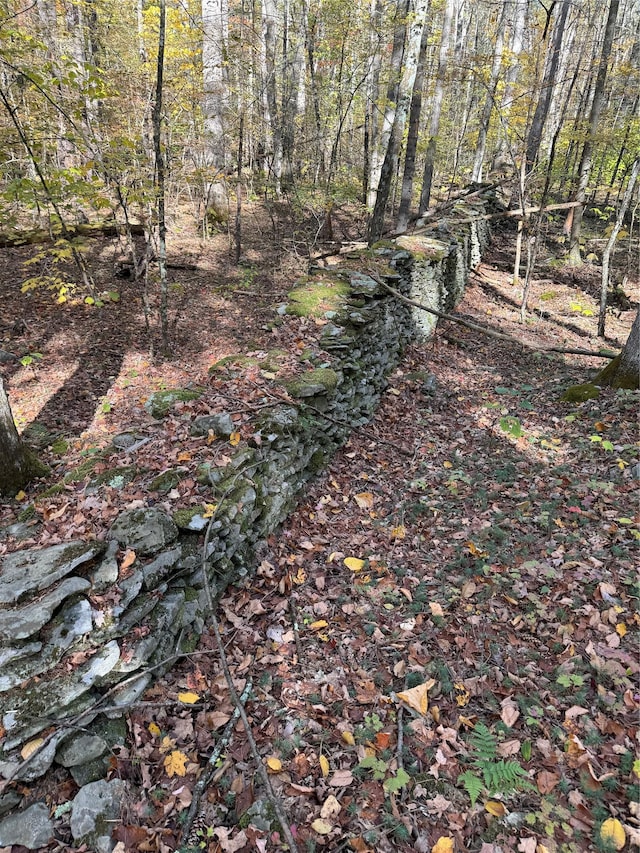 70 Joseph Ln, Cairo, NY 12058