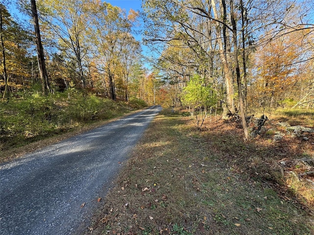 70 Joseph Ln, Cairo, NY 12058
