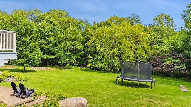 10 Inverness Ct, White Plains, NY 10605 - view of grassy yard with a trampoline