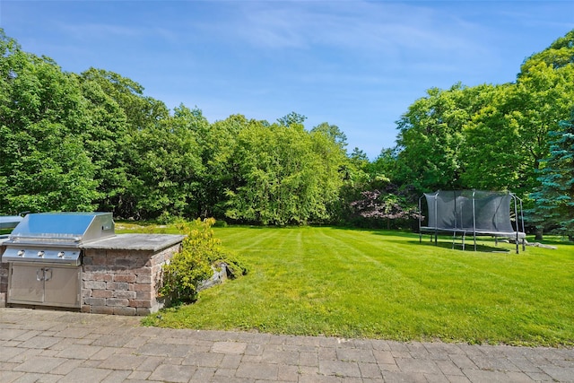 10 Inverness Ct, White Plains, NY 10605 - view of green lawn featuring a trampoline and exterior kitchen
