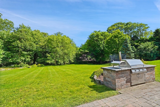 10 Inverness Ct, White Plains, NY 10605 - view of green lawn with an outdoor kitchen and view of wooded area