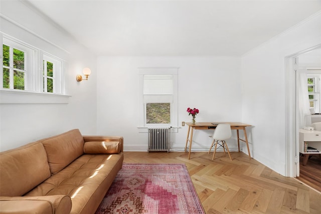 1223 Albany Post Rd, Croton-On-Hudson, NY 10520 - living room featuring radiator heating unit and baseboards