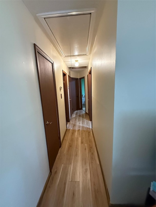 1016 Howells Rd, Bay Shore, NY 11706 - hallway featuring attic access and light wood-style flooring