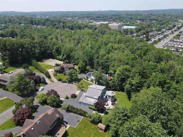 48 Snowdrop Dr, New City, NY 10956 - photo 42