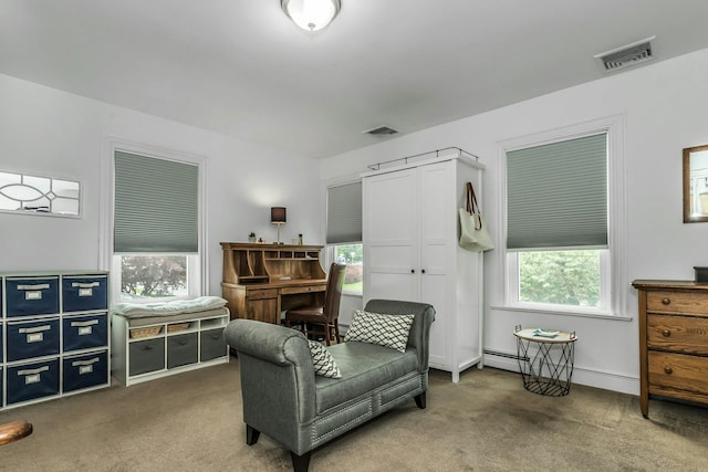 75 Anstice St, Oyster Bay, NY 11771 - photo 15