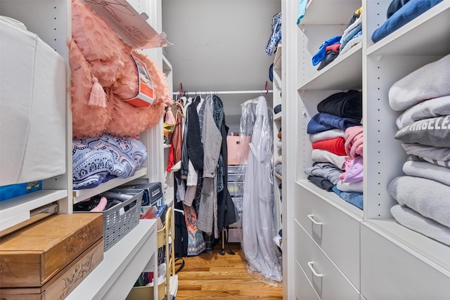 48 Orchard Hill Rd, Carmel, NY 10512 - spacious closet featuring wood finished floors