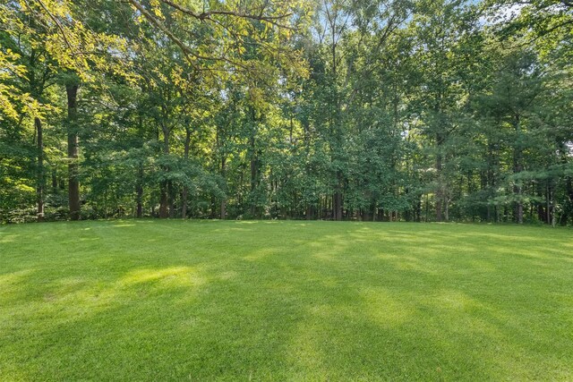 48 Orchard Hill Rd, Carmel, NY 10512 - view of green lawn with a forest view
