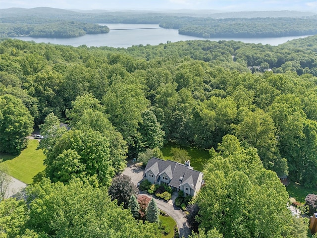 48 Orchard Hill Rd, Carmel, NY 10512 - aerial view of a large body of water