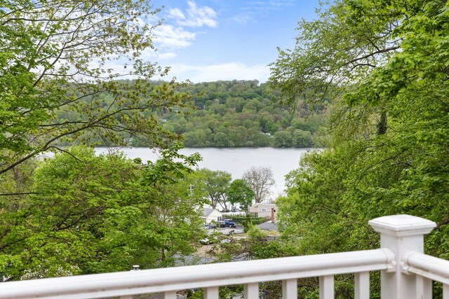 13 Ripley Rd, Patterson, NY 12563 - water view with a heavily wooded area