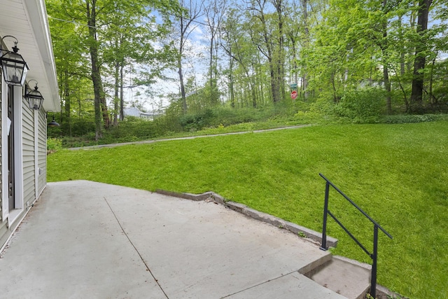 13 Ripley Rd, Patterson, NY 12563 - view of grassy yard featuring a patio area