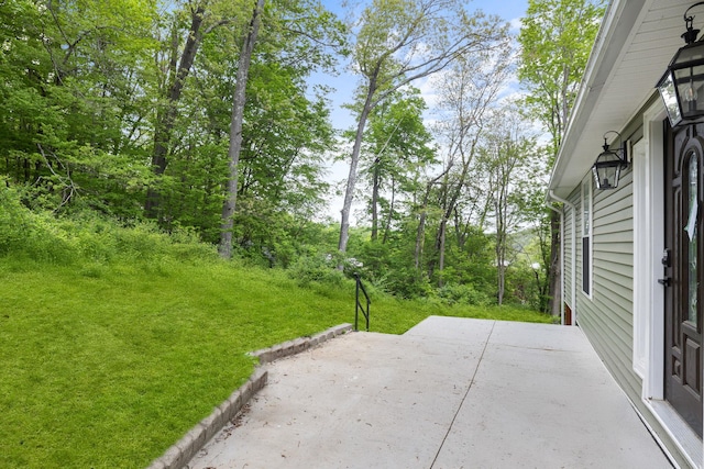 13 Ripley Rd, Patterson, NY 12563 - view of patio