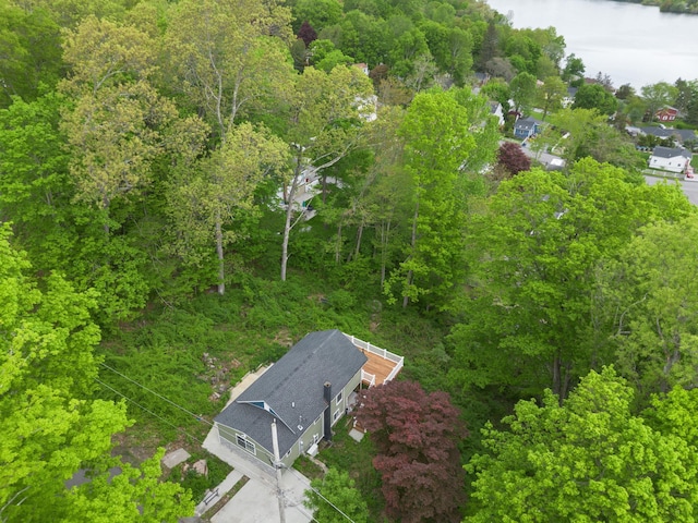 13 Ripley Rd, Patterson, NY 12563 - aerial view of a forest