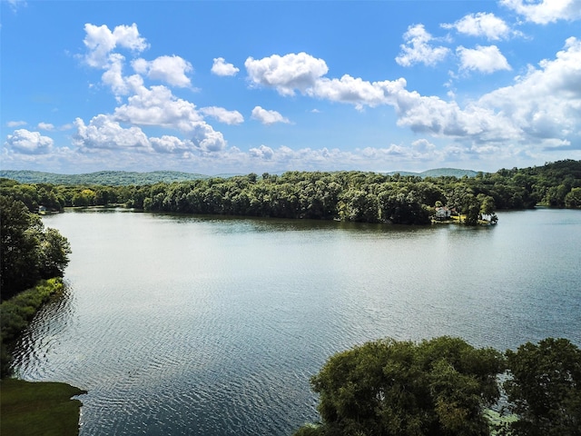 13 Ripley Rd, Patterson, NY 12563 - water view featuring a heavily wooded area