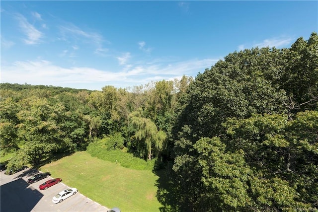 1133 Midland Ave Unit 4C, Bronxville, NY 10708 - drone / aerial view of a forest