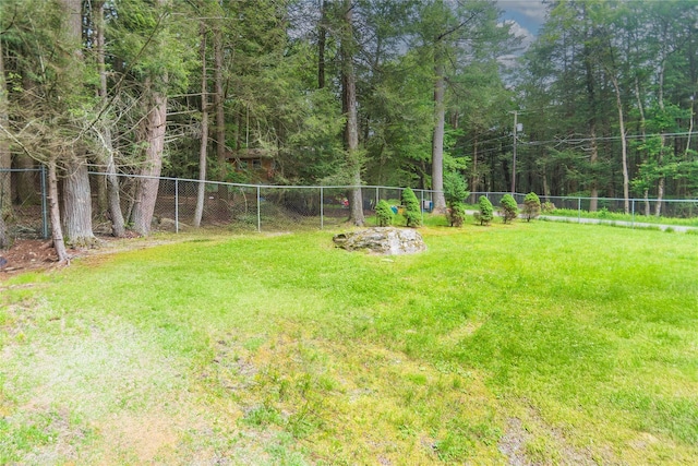 65 Berkshire Trl, Smallwood, NY 12720 - view of yard with a forest view