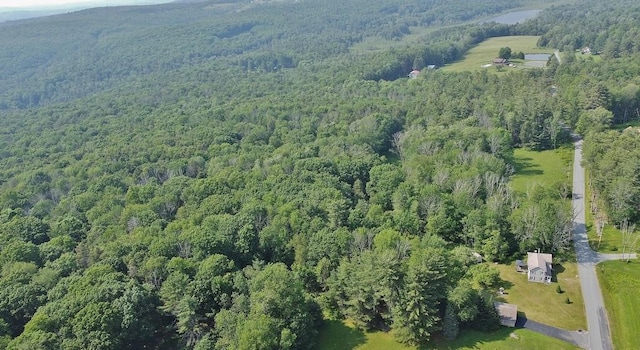 169 Mitchell Pond Rd E, Cochecton, NY 12726 - aerial overview of property's location with a forest