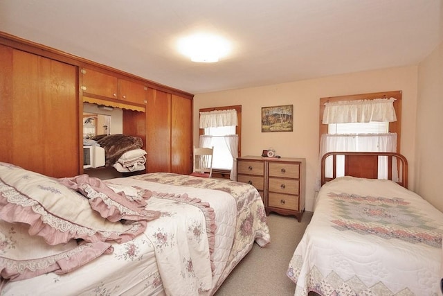 169 Mitchell Pond Rd E, Cochecton, NY 12726 - bedroom with light carpet and multiple windows