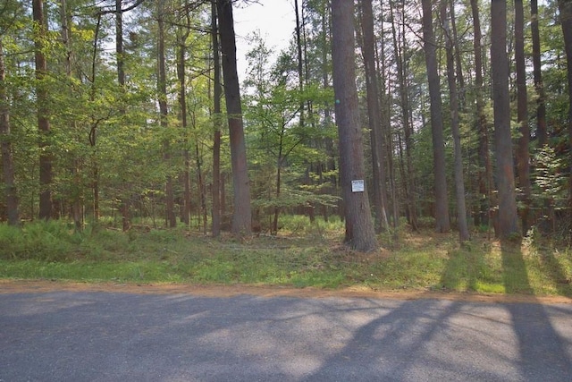 169 Mitchell Pond Rd E, Cochecton, NY 12726 - view of street with a wooded view
