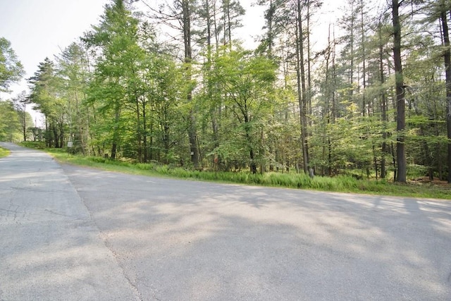 169 Mitchell Pond Rd E, Cochecton, NY 12726 - view of asphalt street featuring a view of trees