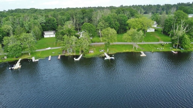 169 Mitchell Pond Rd E, Cochecton, NY 12726 - aerial overview of property's location featuring a large body of water and a heavily wooded area