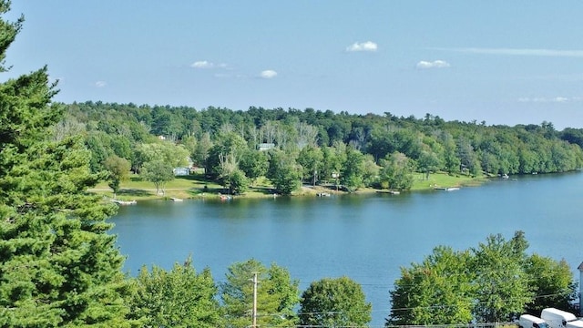 169 Mitchell Pond Rd E, Cochecton, NY 12726 - water view with a forest