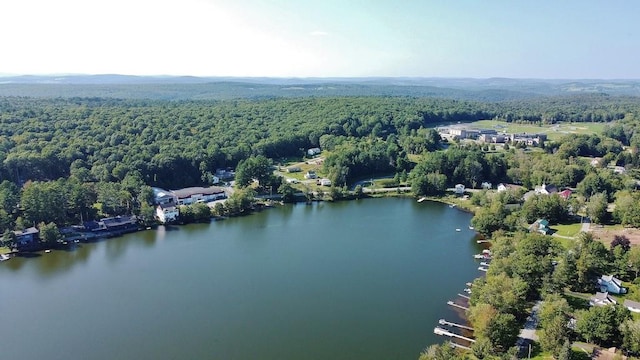 169 Mitchell Pond Rd E, Cochecton, NY 12726 - drone / aerial view of a forest and a nearby body of water