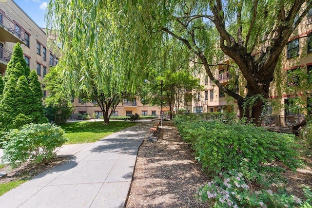 1901 Madison Ave Unit 105, New York Manhattan, NY 10035 - surrounding community