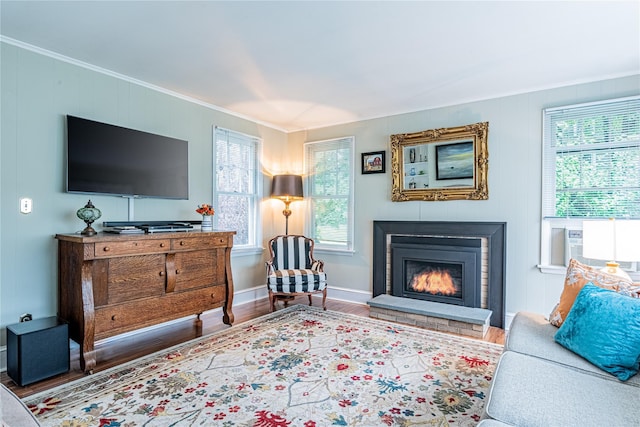 16 Beechwood Park, Poughkeepsie, NY 12601 - living room with ornamental molding, wood finished floors, a glass covered fireplace, and cooling unit
