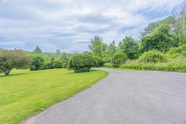 2136 Rte 55, Lagrangeville, NY 12540 - view of asphalt street with a wooded view