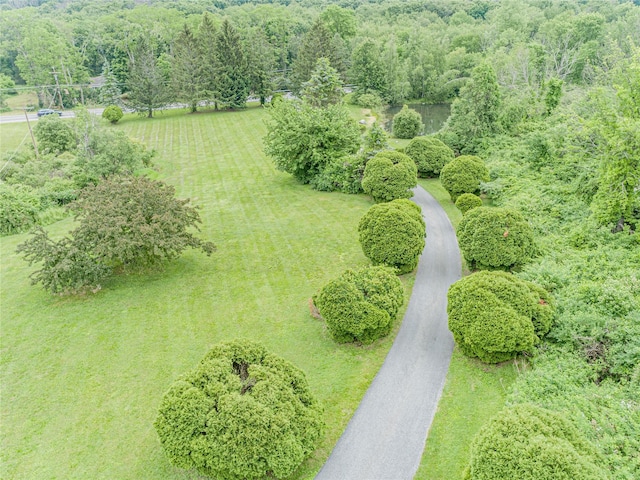 2136 Rte 55, Lagrangeville, NY 12540 - view of rural area