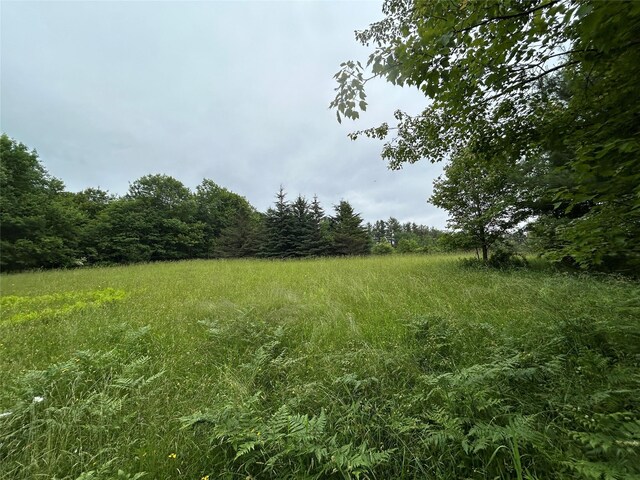 County Highway 28, Long Eddy, NY 12760 - photo 1