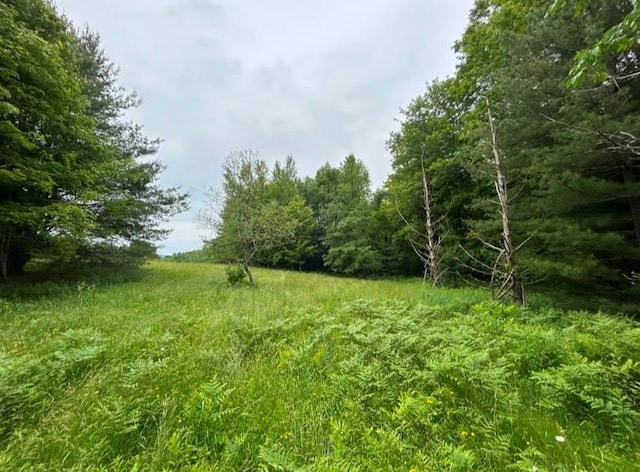 County Highway 28, Long Eddy, NY 12760 - photo 2