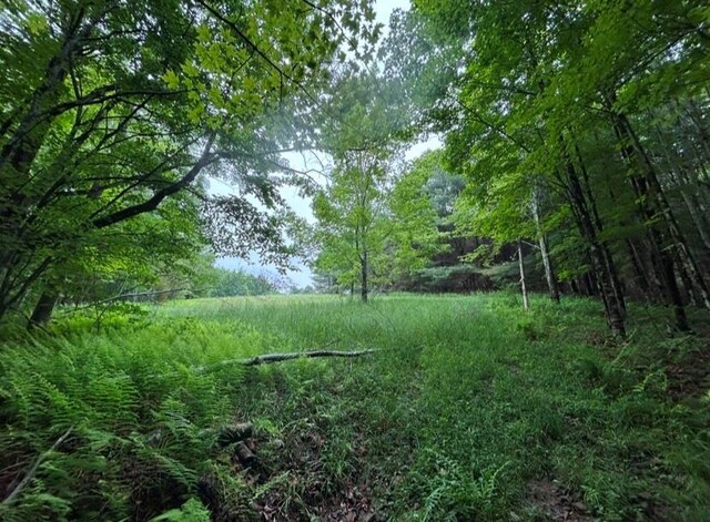 County Highway 28, Long Eddy, NY 12760 - photo 5