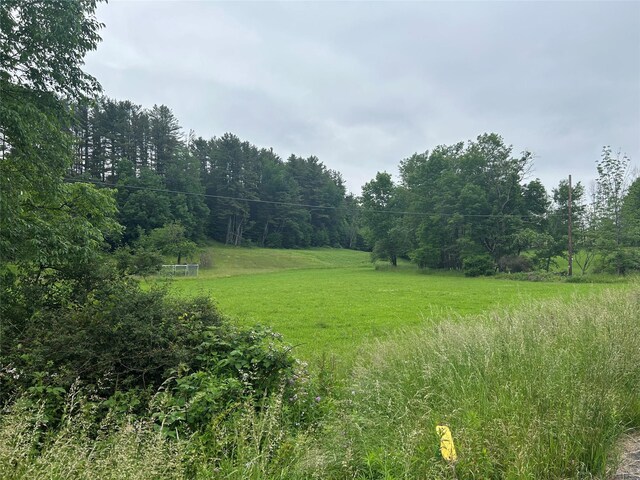 County Highway 28, Long Eddy, NY 12760 - photo 7
