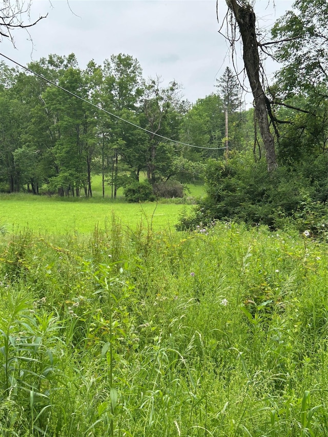 County Highway 28, Long Eddy, NY 12760 - photo 8