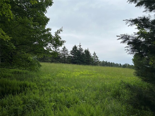 County Highway 28, Long Eddy, NY 12760 - photo 9
