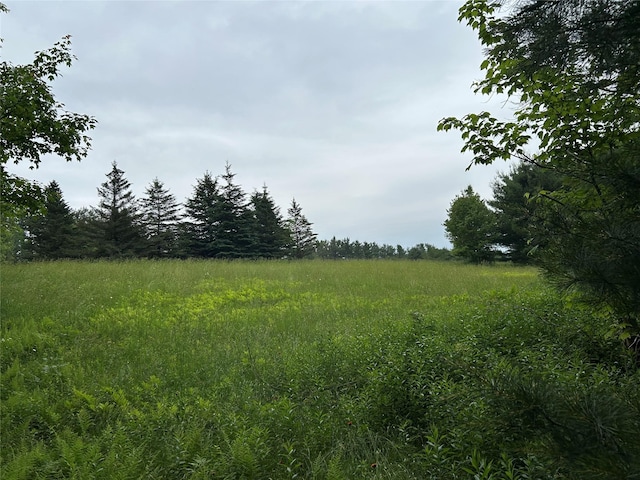 County Highway 28, Long Eddy, NY 12760 - photo 10