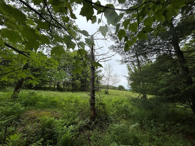 County Highway 28, Long Eddy, NY 12760 - photo 13