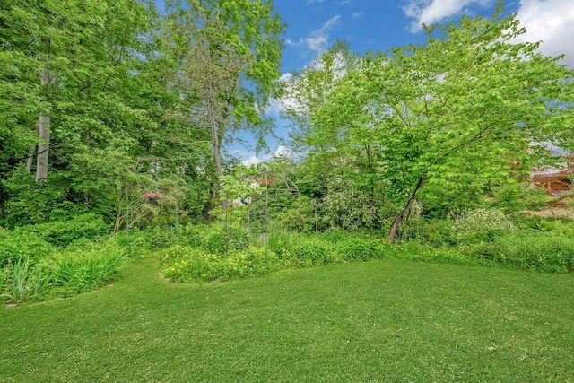 31 Pierce Dr, Pleasantville, NY 10570 - view of green lawn