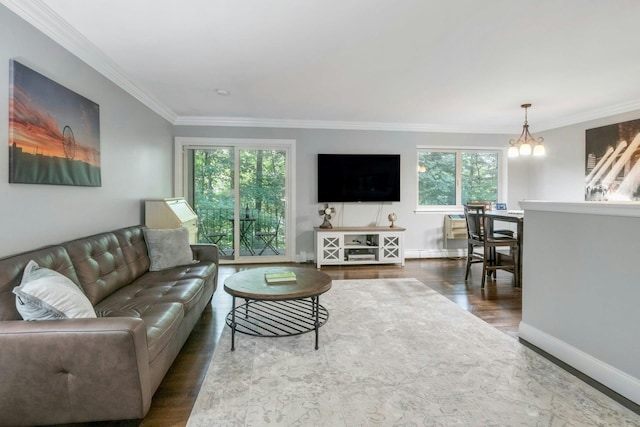 13 Scenic Dr Unit D, Croton-On-Hudson, NY 10520 - living room with ornamental molding, wood finished floors, healthy amount of natural light, and a chandelier