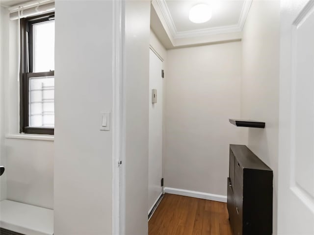 61-25 98th St Unit 2H, Rego Park, NY 11374 - corridor with crown molding, wood finished floors, and plenty of natural light