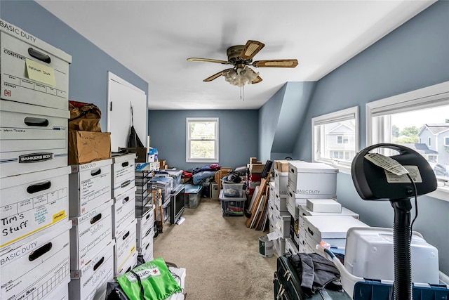 23 Crown Ln, Westbury, NY 11590 - photo 22
