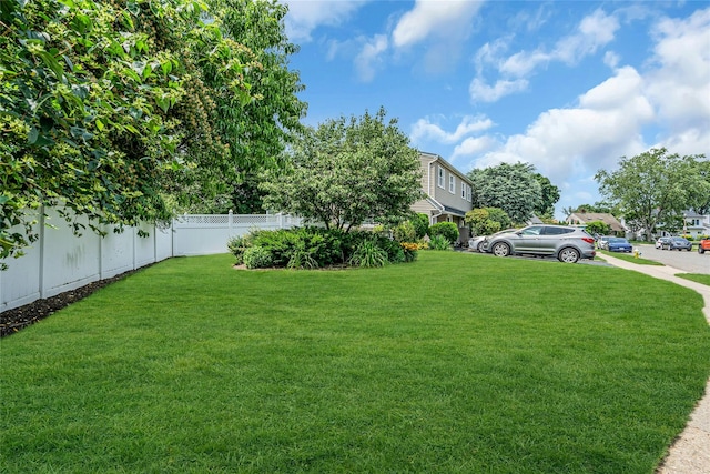 23 Crown Ln, Westbury, NY 11590 - photo 31