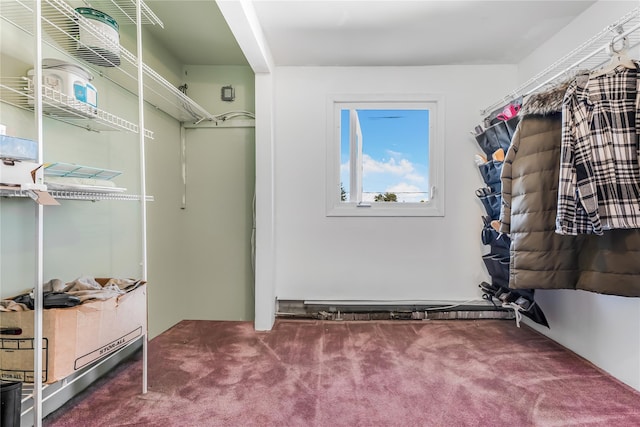 99 Stone Ln, Levittown, NY 11756 - spacious closet with carpet floors