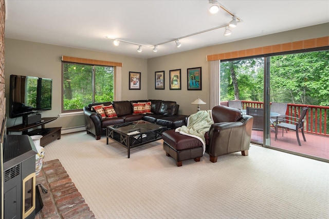 35 David Rd, Somers, NY 10589 - living room with baseboard heating, plenty of natural light, carpet, and track lighting
