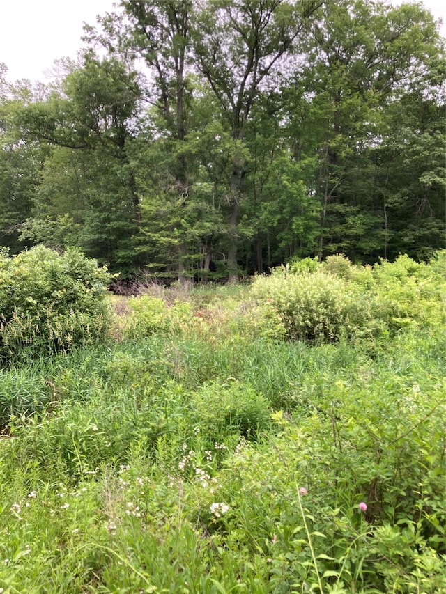 Baxtertown Rd, Fishkill, NY 12524 - photo 1