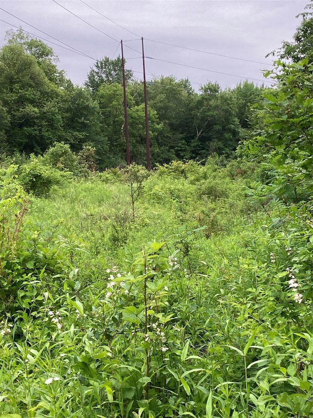 Baxtertown Rd, Fishkill, NY 12524 - photo 3