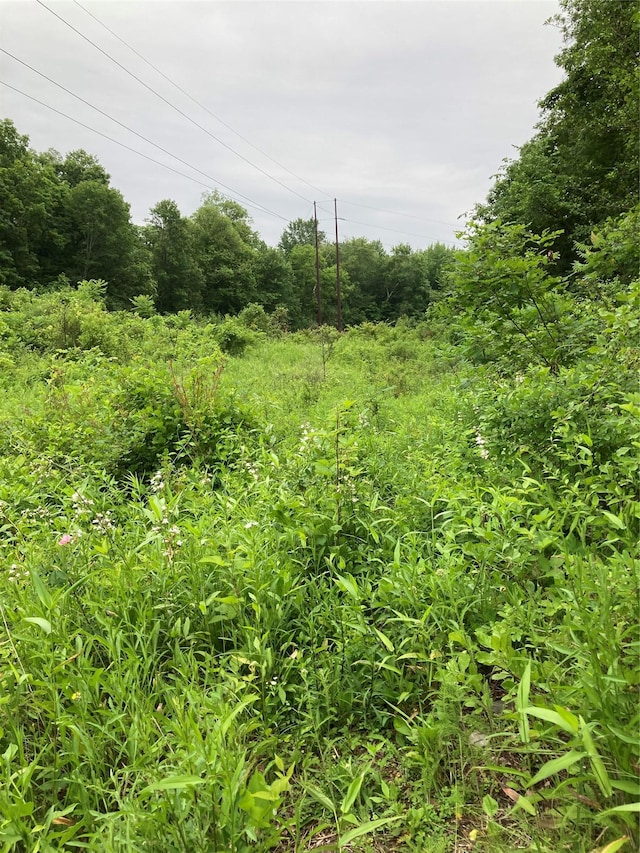 Baxtertown Rd, Fishkill, NY 12524 - photo 4