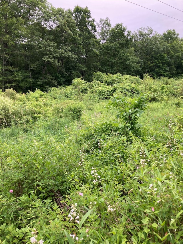 Baxtertown Rd, Fishkill, NY 12524 - photo 5