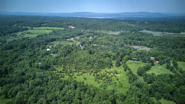 355 Wurtemburg Rd, Rhinebeck, NY 12572 - photo 1